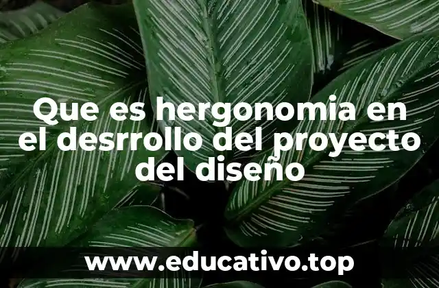 Que es hergonomia en el desrrollo del proyecto del diseño