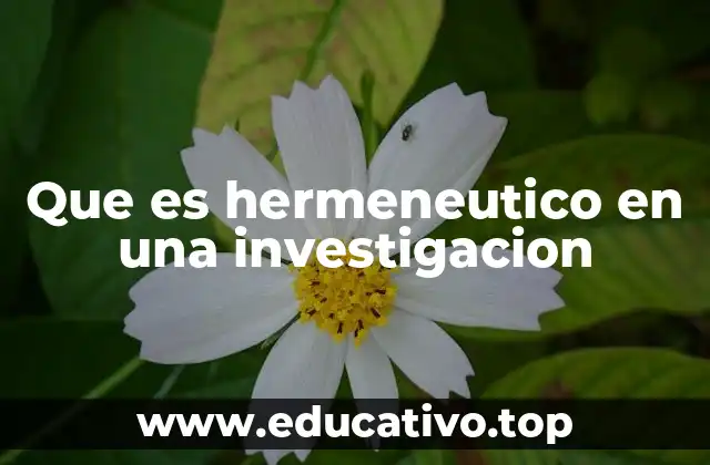 Que es hermeneutico en una investigacion