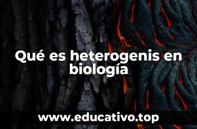 La importancia de la diversidad biológica en la evolución