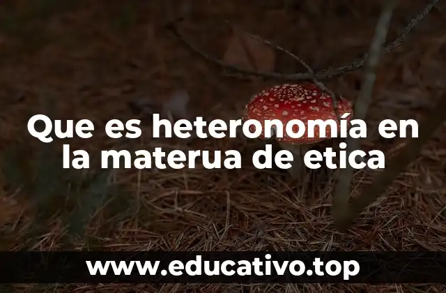 Que es heteronomía en la materua de etica