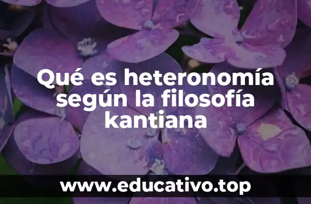 Qué es heteronomía según la filosofía kantiana