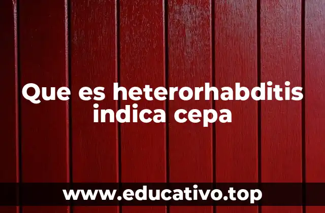 Que es heterorhabditis indica cepa
