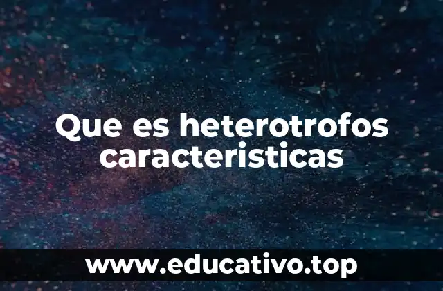 Que es heterotrofos caracteristicas