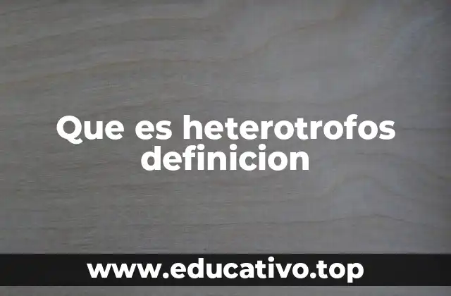 Que es heterotrofos definicion