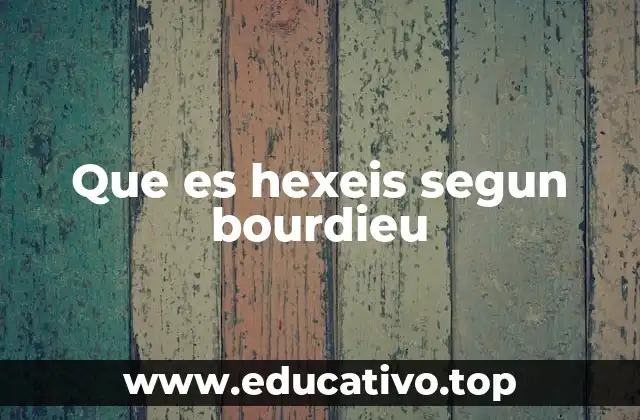 Que es hexeis segun bourdieu