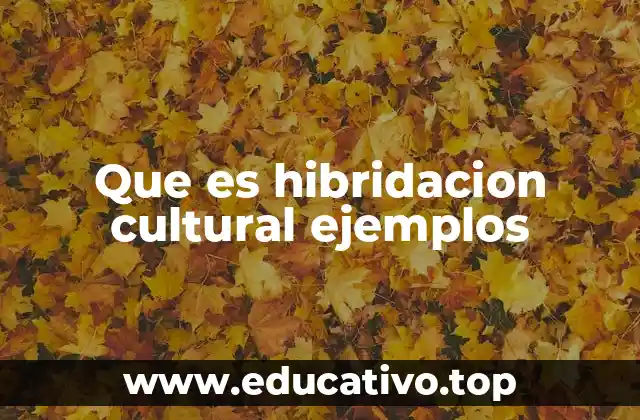 Que es hibridacion cultural ejemplos