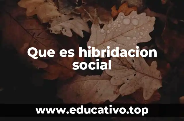 Que es hibridacion social