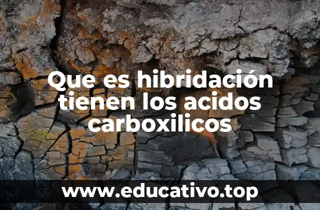 Que es hibridación tienen los acidos carboxilicos