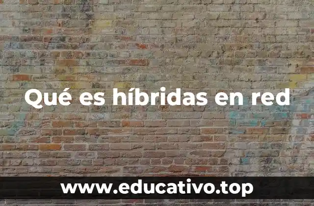 Qué es híbridas en red