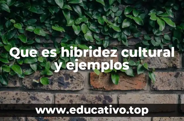 Que es hibridez cultural y ejemplos
