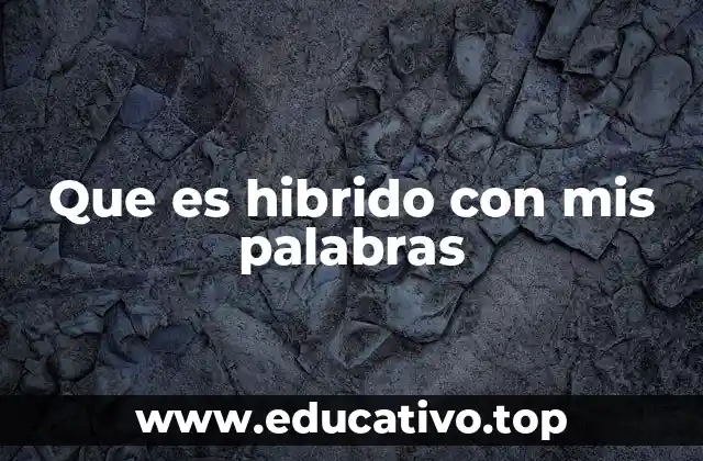 Que es hibrido con mis palabras