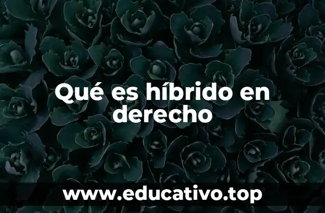 Qué es híbrido en derecho