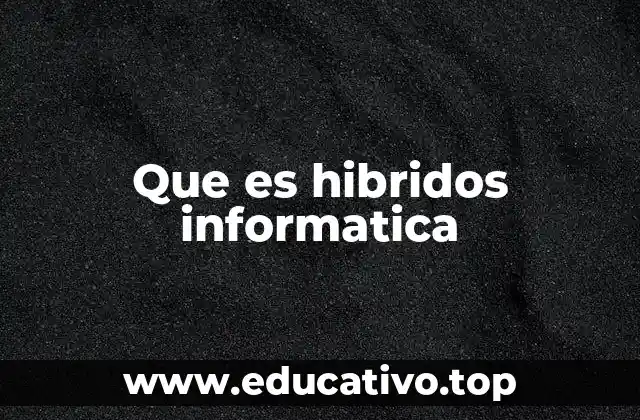 Que es hibridos informatica