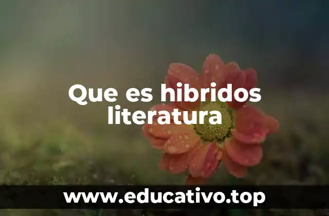 Que es hibridos literatura