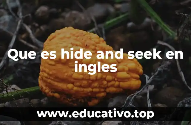 Que es hide and seek en ingles