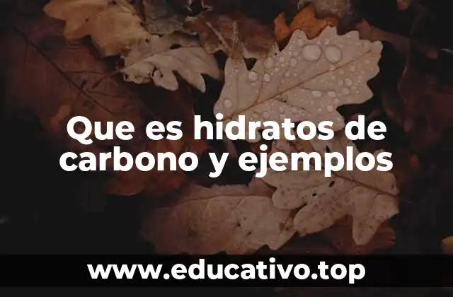 Que es hidratos de carbono y ejemplos
