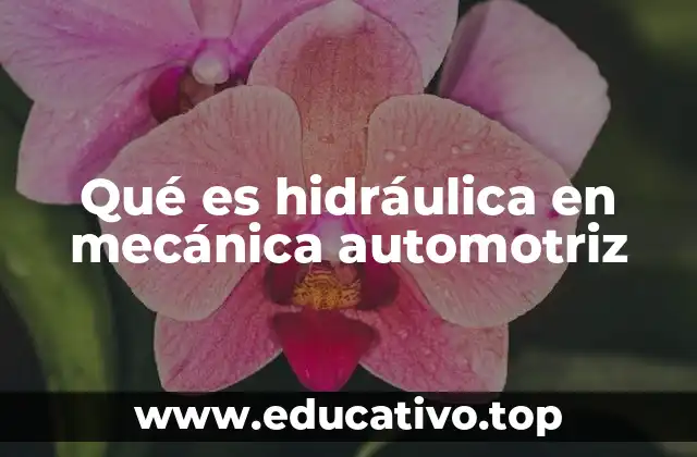 Qué es hidráulica en mecánica automotriz
