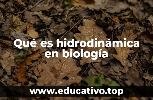 Qué es hidrodinámica en biología