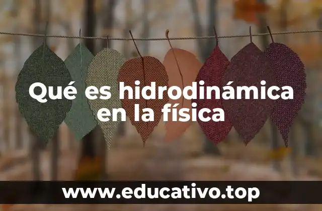 Qué es hidrodinámica en la física