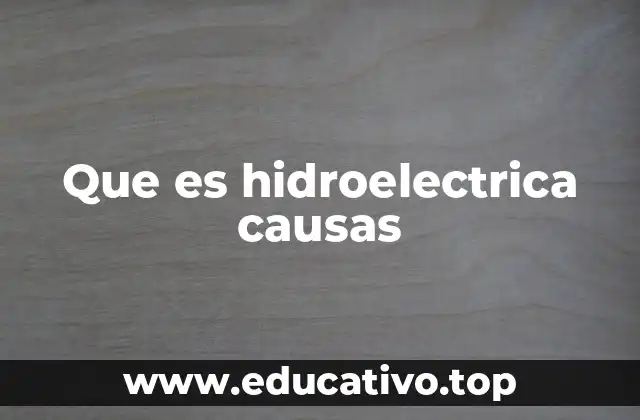 Que es hidroelectrica causas