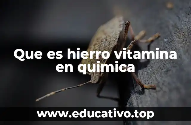 Que es hierro vitamina en quimica