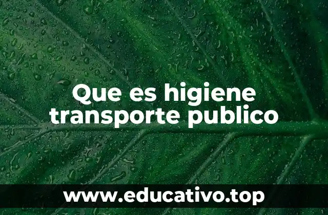 Que es higiene transporte publico