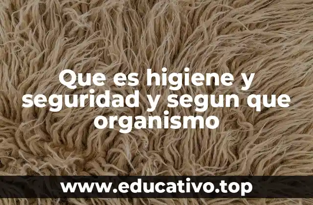 Que es higiene y seguridad y segun que organismo