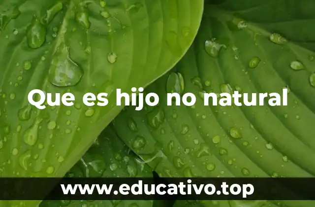 Que es hijo no natural