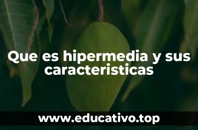 Que es hipermedia y sus caracteristicas