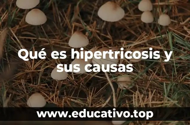 Qué es hipertricosis y sus causas
