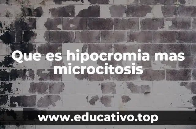 La importancia de los glóbulos rojos en el diagnóstico médico