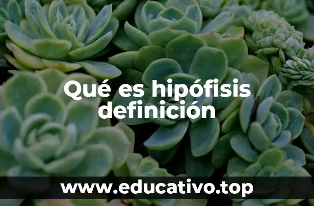 Qué es hipófisis definición