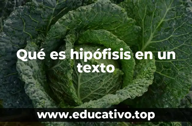 Qué es hipófisis en un texto