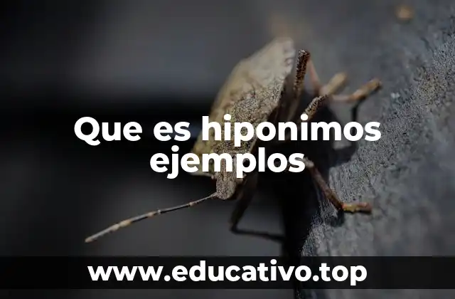 Que es hiponimos ejemplos