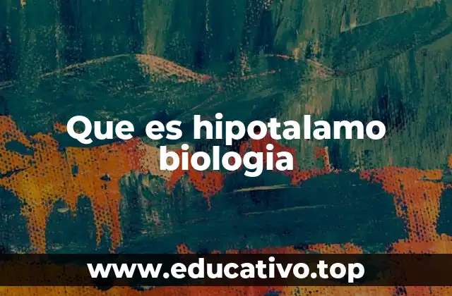 Que es hipotalamo biologia