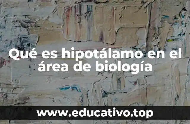 Qué es hipotálamo en el área de biología