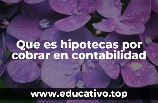 El papel de las hipotecas por cobrar en el balance general