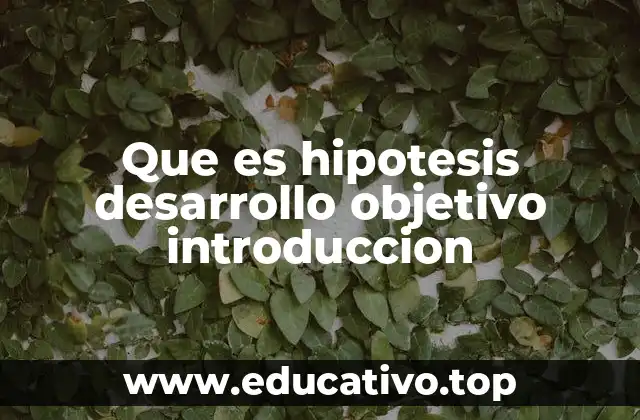 Que es hipotesis desarrollo objetivo introduccion