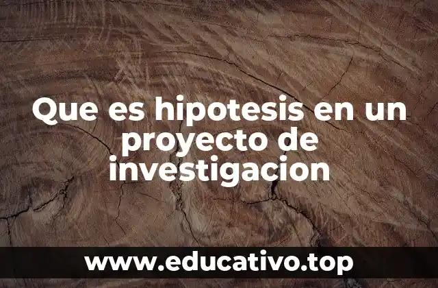Que es hipotesis en un proyecto de investigacion