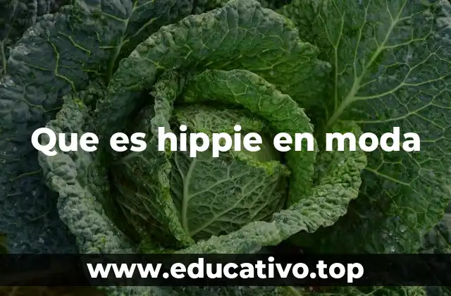 Que es hippie en moda
