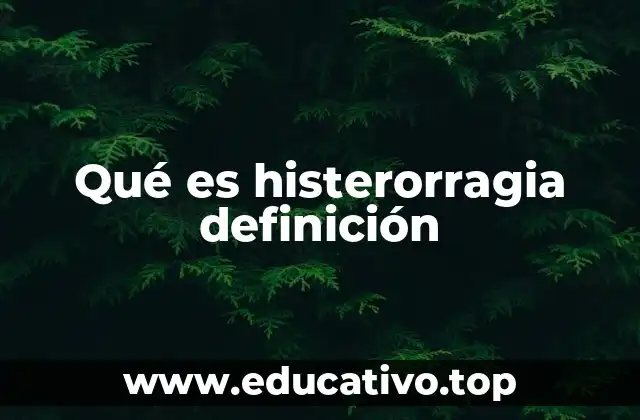 Qué es histerorragia definición