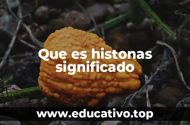 La estructura de las histonas y su relación con el ADN