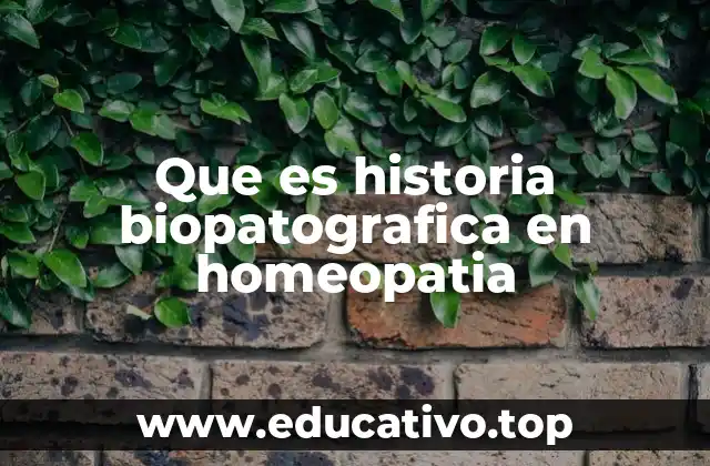 Que es historia biopatografica en homeopatia