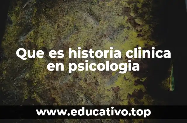 La importancia de un enfoque integral en el registro psicológico