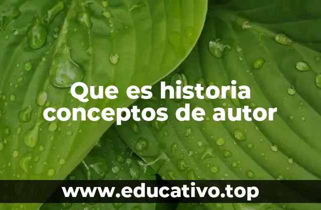 Que es historia conceptos de autor