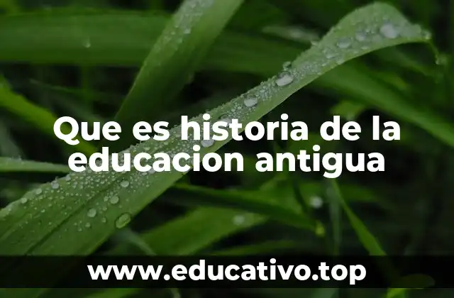 Que es historia de la educacion antigua
