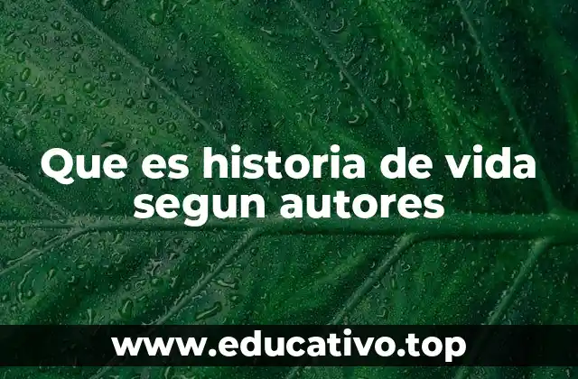 Que es historia de vida segun autores
