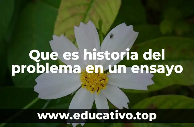Que es historia del problema en un ensayo