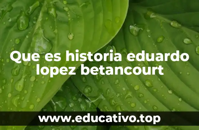 Que es historia eduardo lopez betancourt