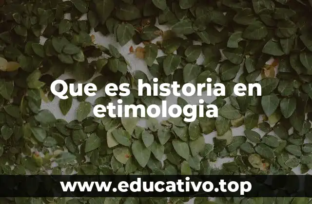 Que es historia en etimologia